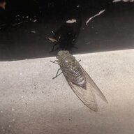 还说睡觉嗯