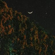 228710