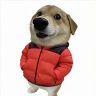 NiKou