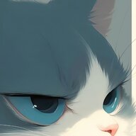 yierya