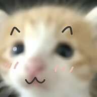 我爱你qwq