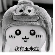 玉米症