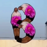 alkg