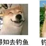 236654355