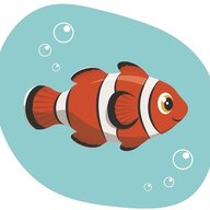 infish
