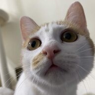 faaaaaaaaaaaa