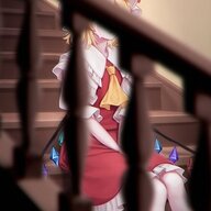 菊花夜行军