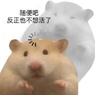 枫林晚
