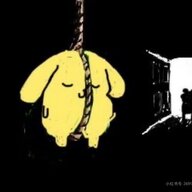 the dog doing