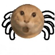 hidf