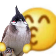 Kerbinhorizon