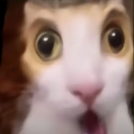 lkkii