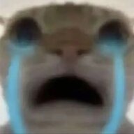 1146514