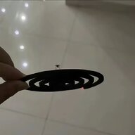 二维的松鼠