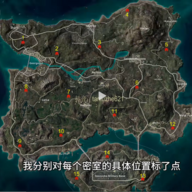 3233475204