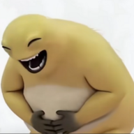 w'd'z