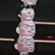 叶子叶子