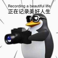 kingjzj