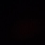 txws