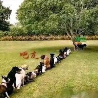 9324
