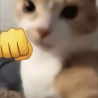 不黄不玩