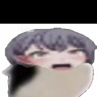 2233333