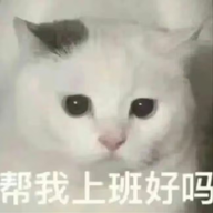 FBIGHOST