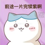 淡定桑