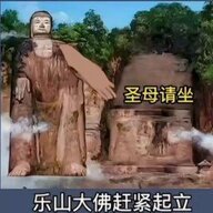 给我点份盖浇饭
