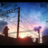 红叶终有落时