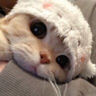 5369