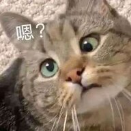 杳文祥