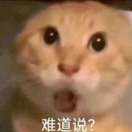 1123