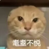 .v.