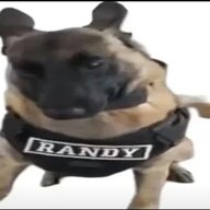 wwwuuuuyyyy