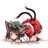cat2fox