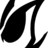 skibidibidi