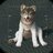 Takumi8964