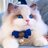 Mr橘猫