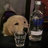 MrJErryRua