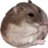 jis