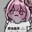 Noapoi
