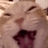 willy062