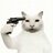 wht233
