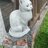 Foca