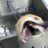 sbnbnb