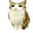 asen555