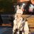 Doge0221