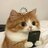 酷猪猪仔