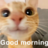 jitters2689